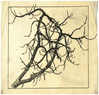 Visualizza l'immagine "FD D 2589"